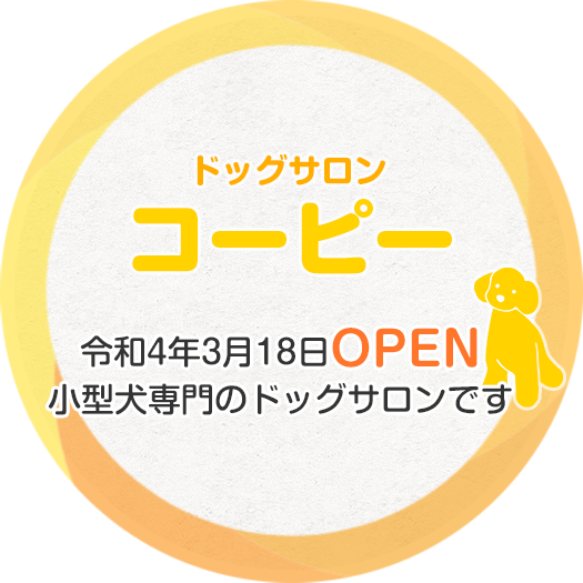 小型犬専門のドッグサロンです。